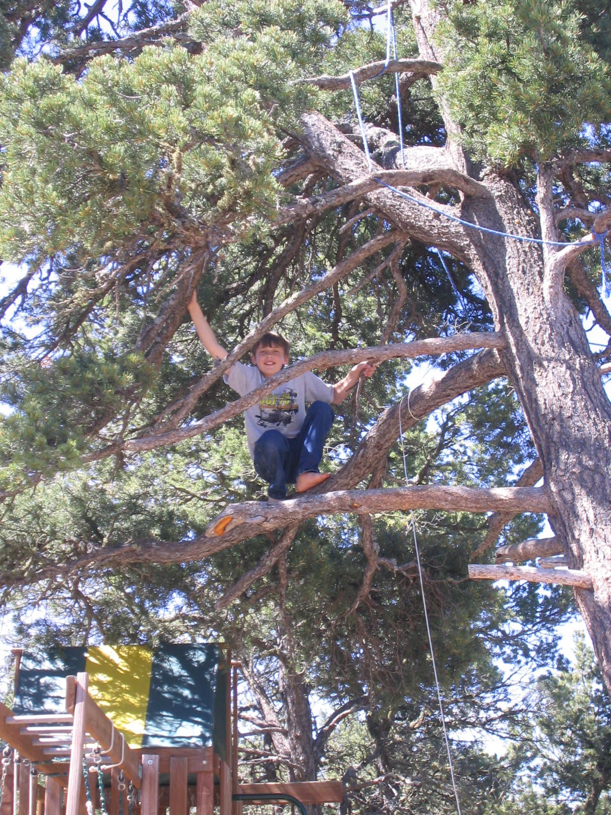 [N+In+the+Tree.JPG]