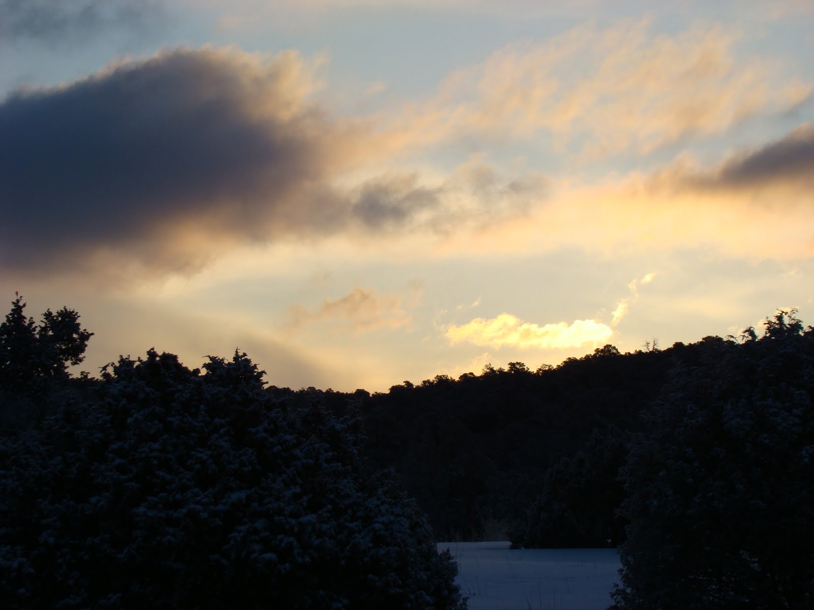 [DSC08318.JPG]