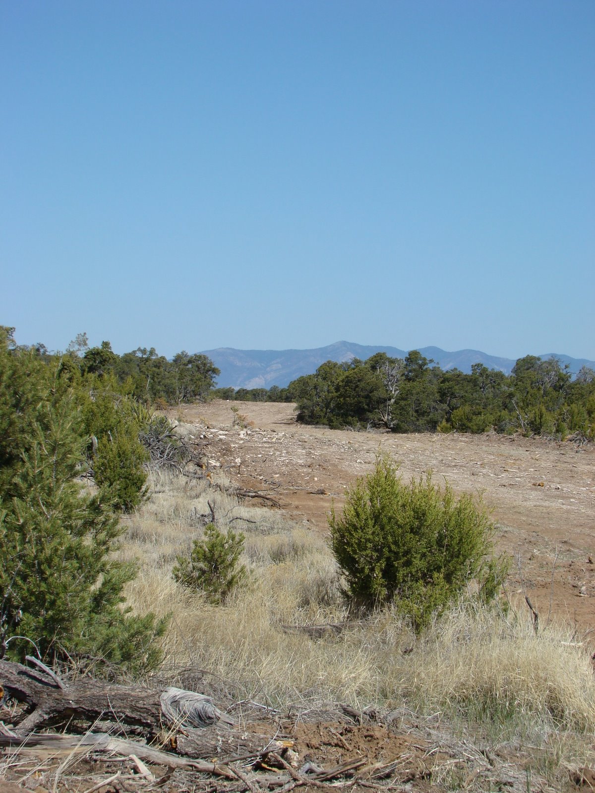 [DSC03652.JPG]