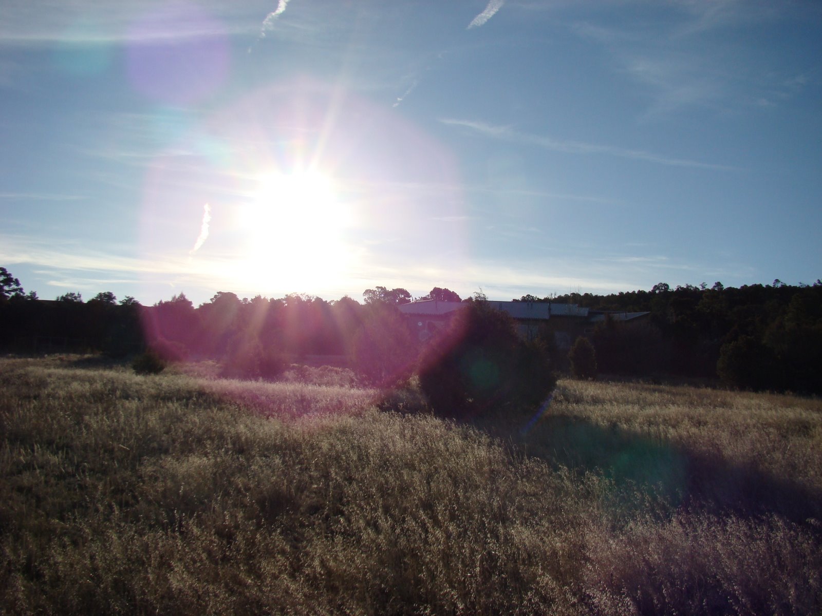 [DSC03211.JPG]