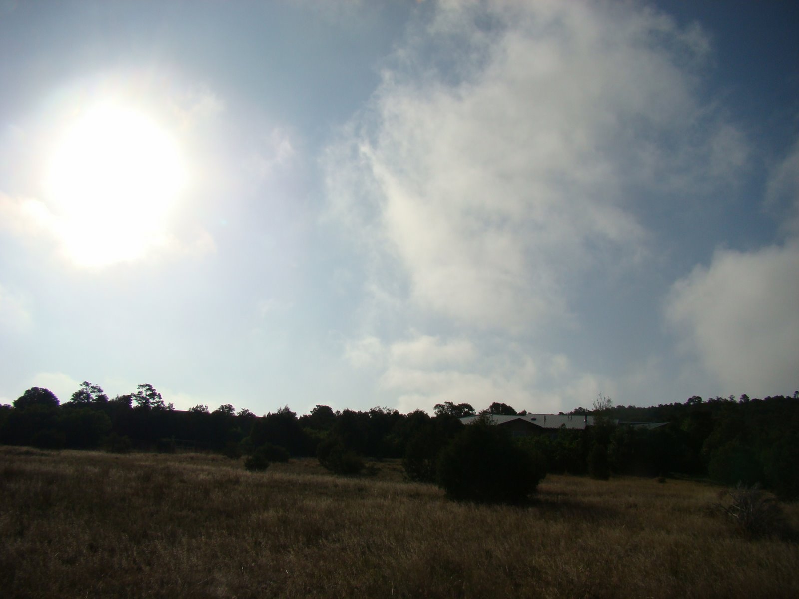 [DSC04023.JPG]