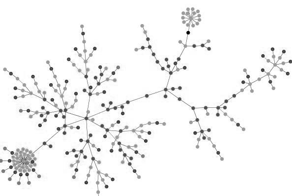 [webgraph.JPG]