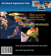 November 2010 Magazine Issue