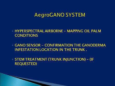 AeroGANO SYSTEM