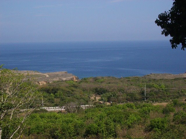[IMGP2488.JPG]