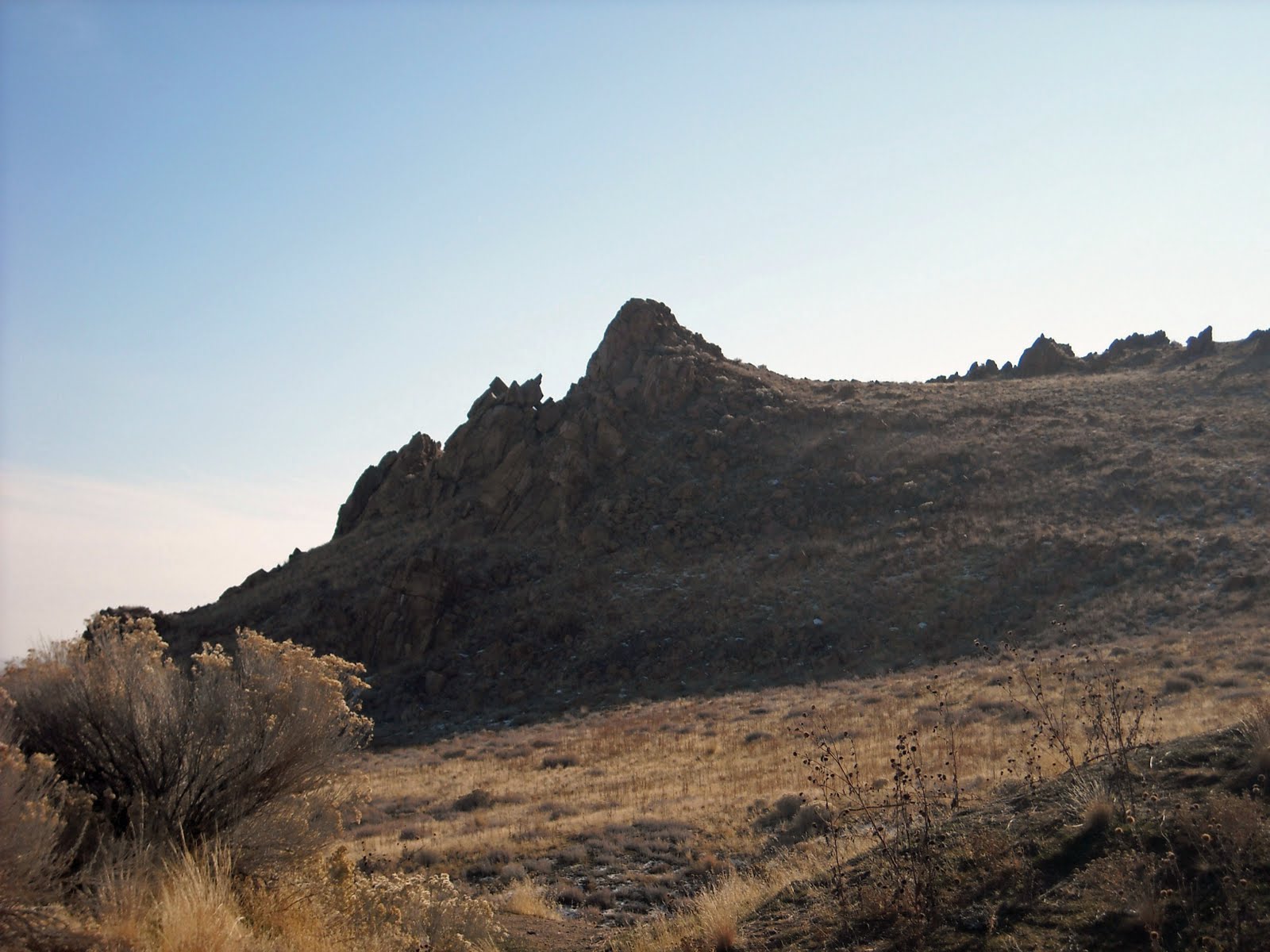 Antelope Island is truly a