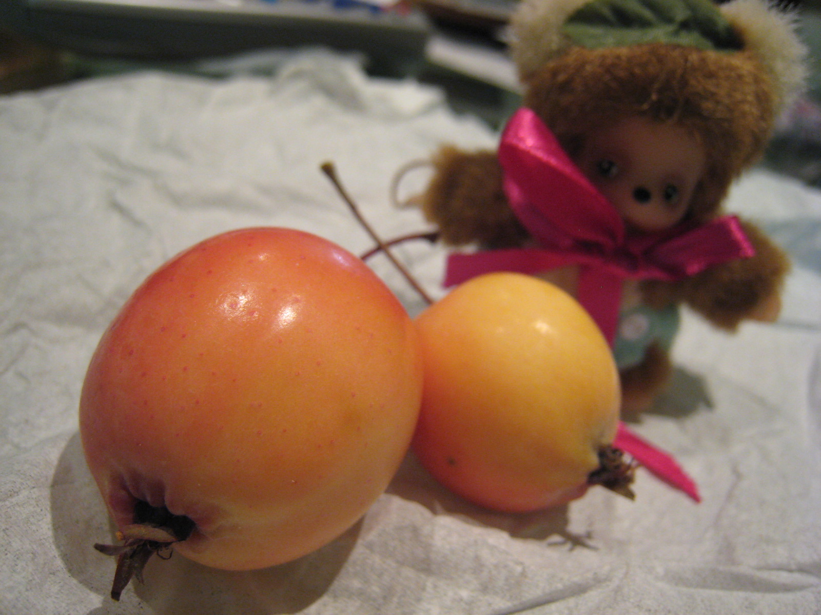 阿thin的台所 674 野生小蘋果