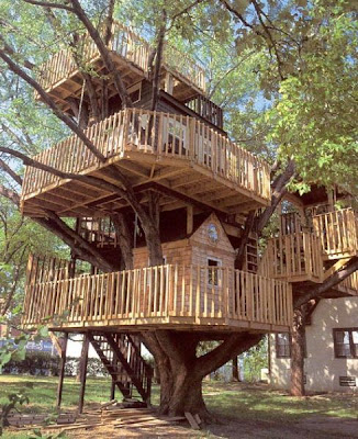 I want a tree house soooooo