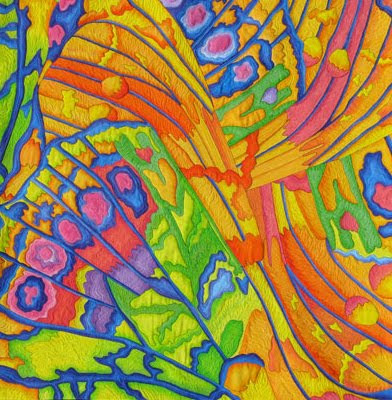 butterfly quilt quilting