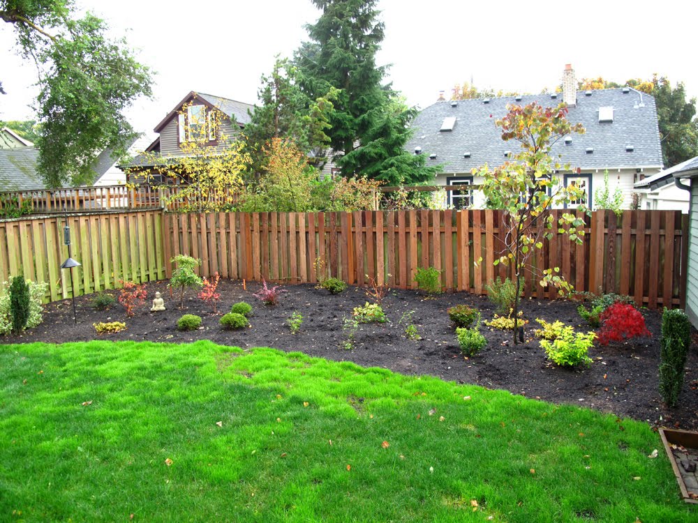 Planting Bushes