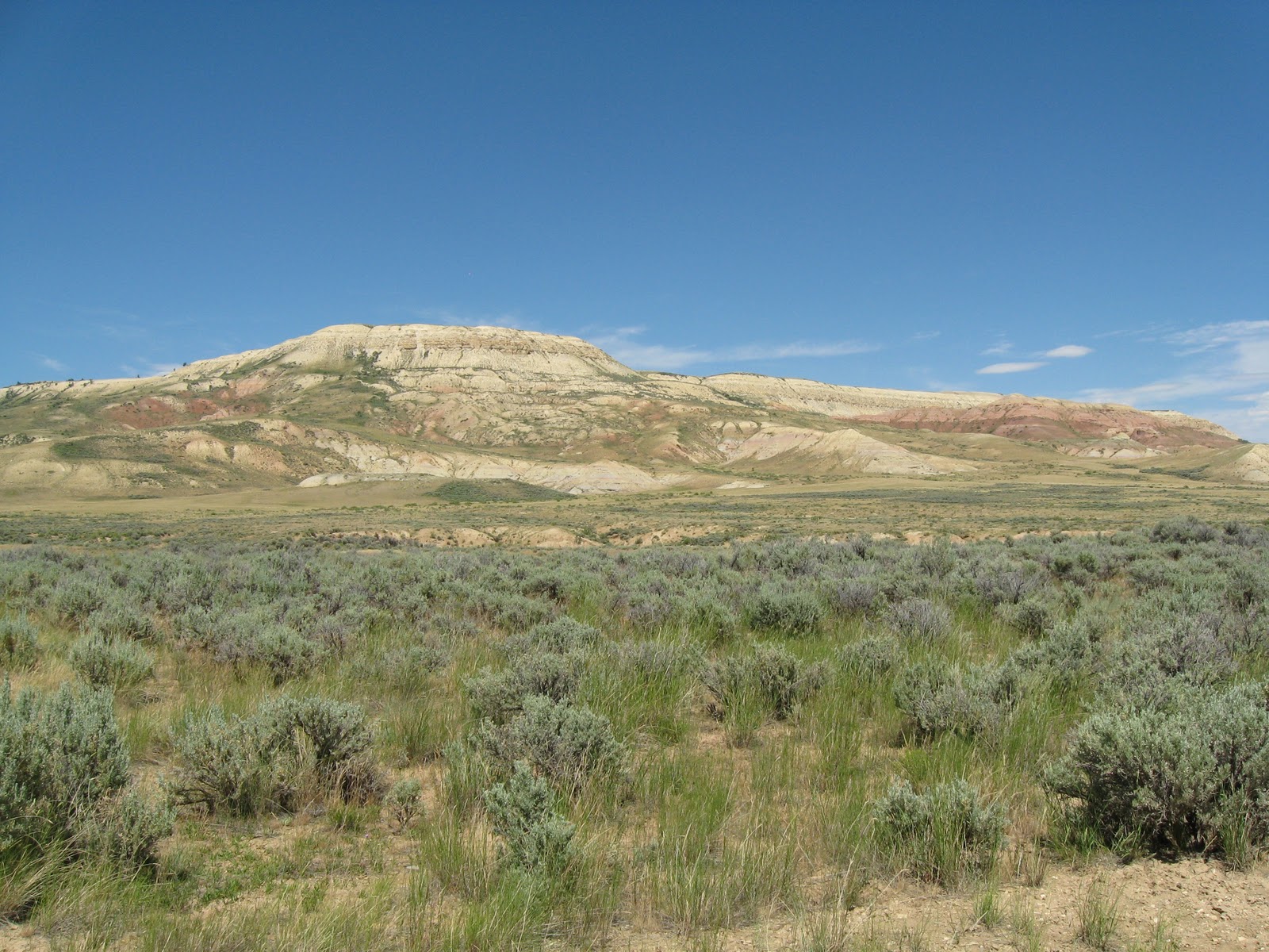 The Cancellation Station Fossil Butte National Monument Kemmerer, WY