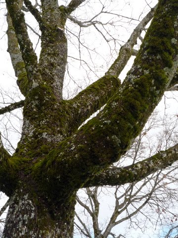 [P1120060.JPG]