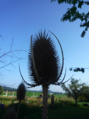 [P1030292.JPG]