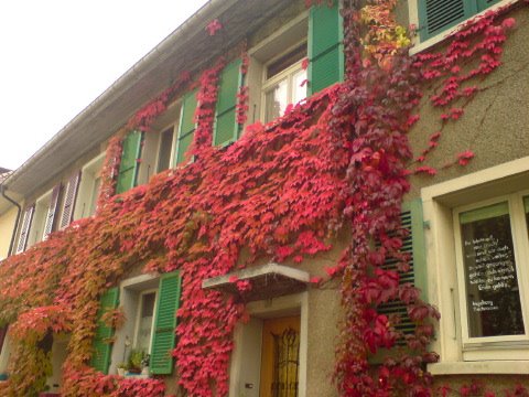 [DSC02878.JPG]