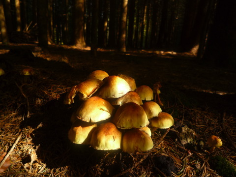 [P1030463.JPG]