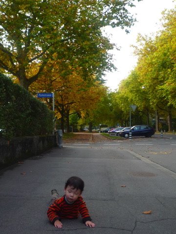 [P1030508.JPG]