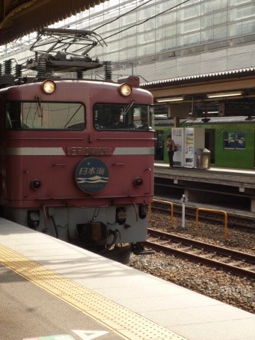 [P1050932.JPG]
