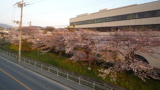 [P1060453.JPG]