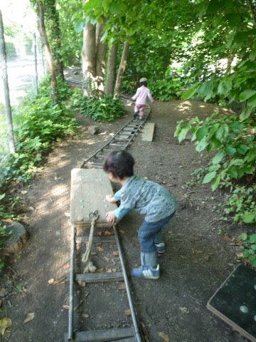 [P1070251.JPG]