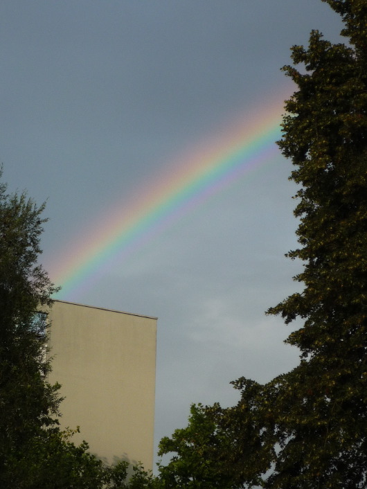 [P1090177.JPG]