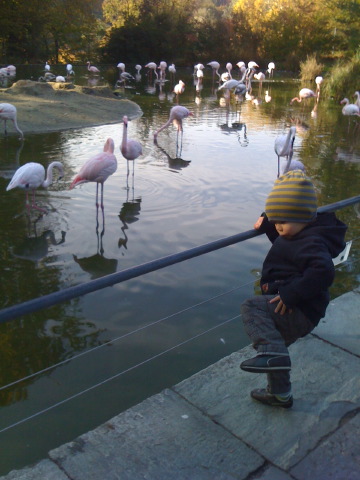 [IMG_1380.JPG]