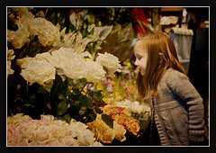 [3083173239_0680de9e10_m.jpg]