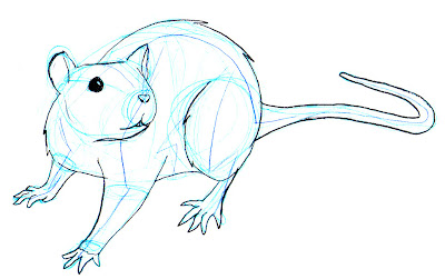 Draw A Rat