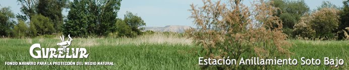 Estación Anillamiento Soto Bajo