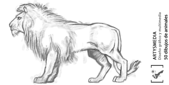 50 dibujos de animales