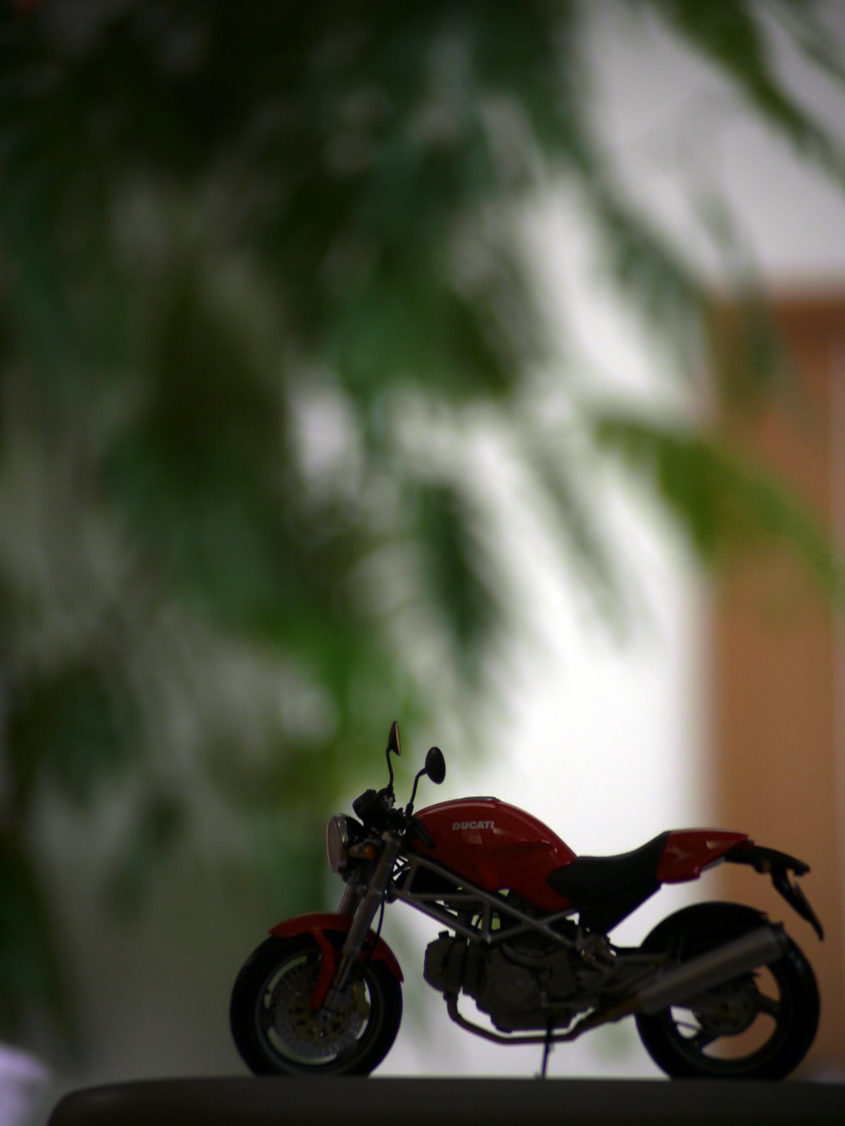 [P1010610-0.jpg]