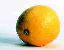 [lemon.jpg]