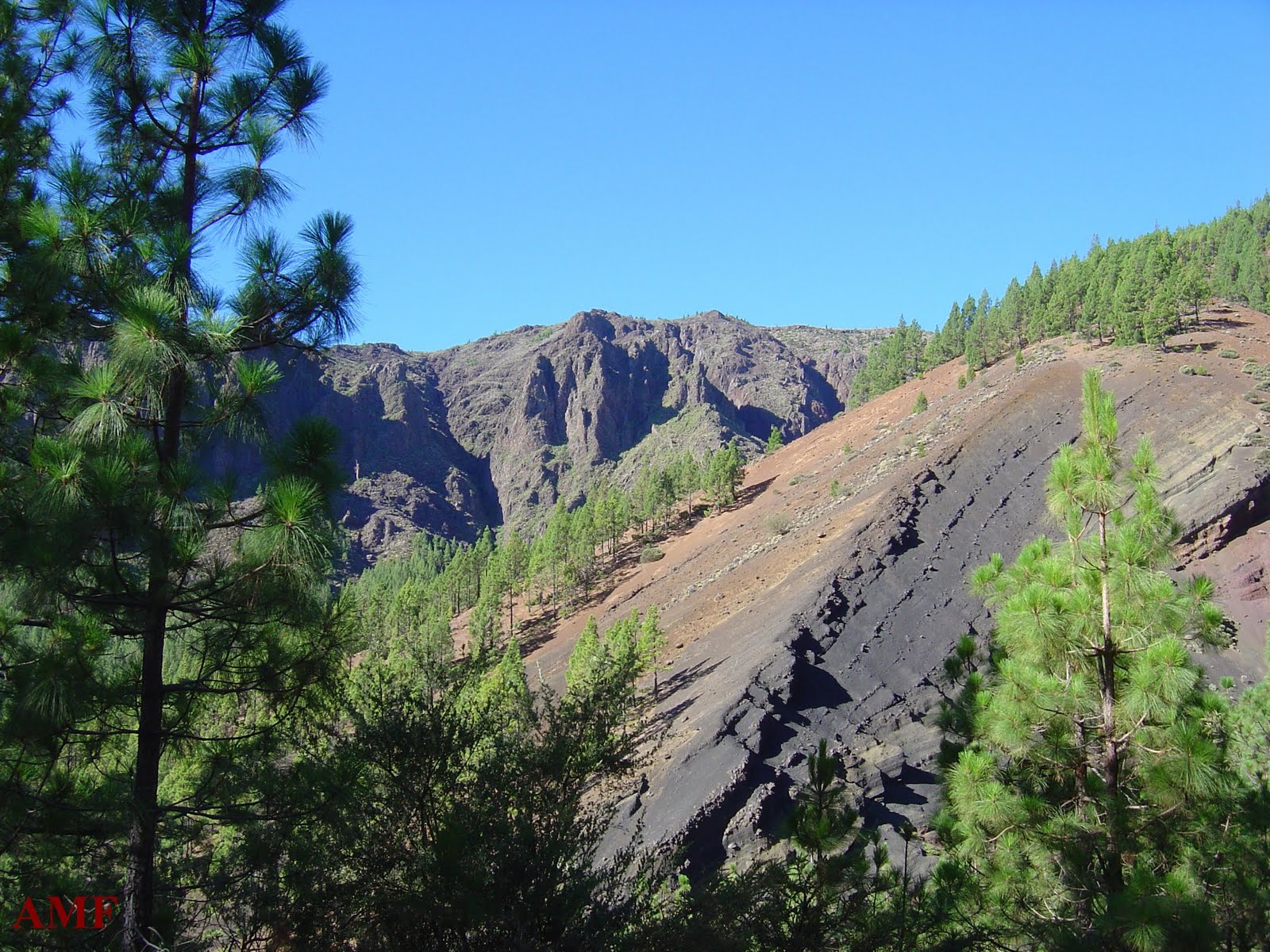 TENERIFE EN IMÁGENES CAMINO DE CANDELARIA.