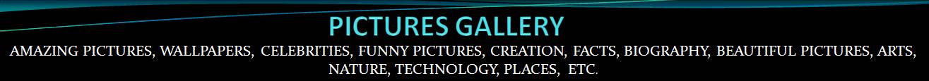 PICTURES GALLERY