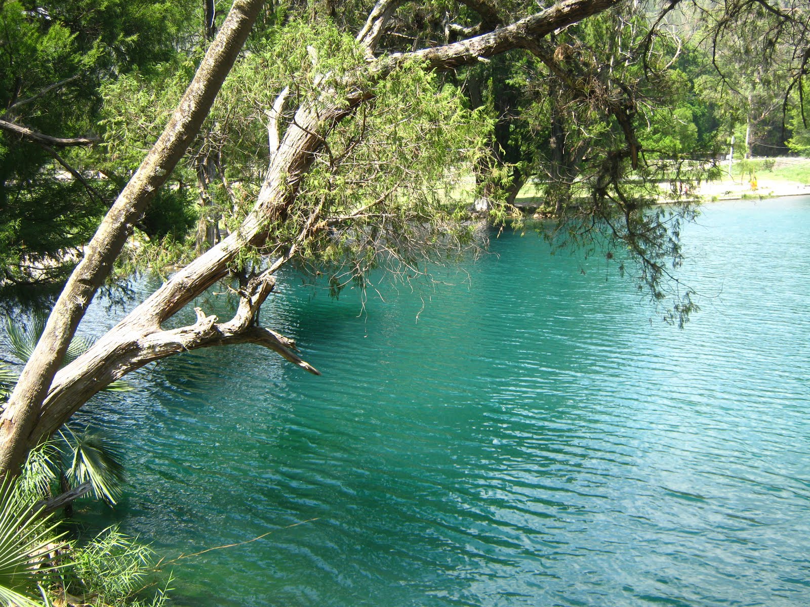 Laguna Encantada, Juxtlahuaca RetratOaxaca