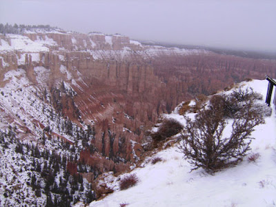 Bryce Point View