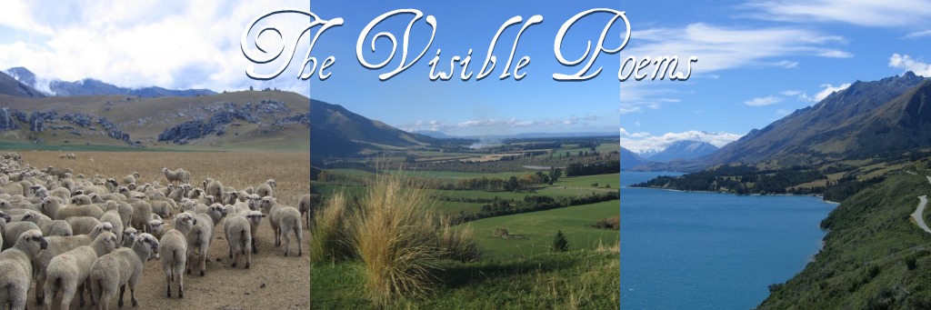 The Visible Poems