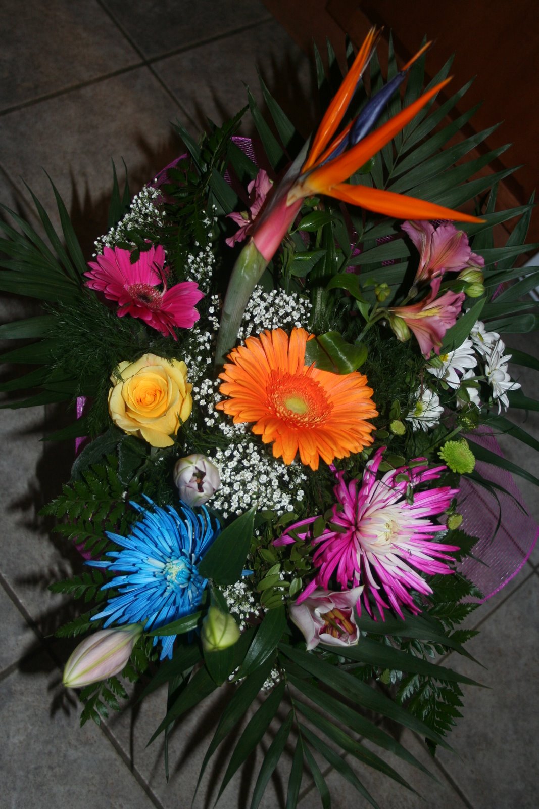 [IMG_3139.JPG]