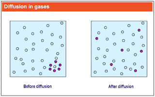 osmosis in potato cells essay osmosis in potato cells essay