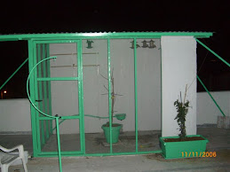 The aviary