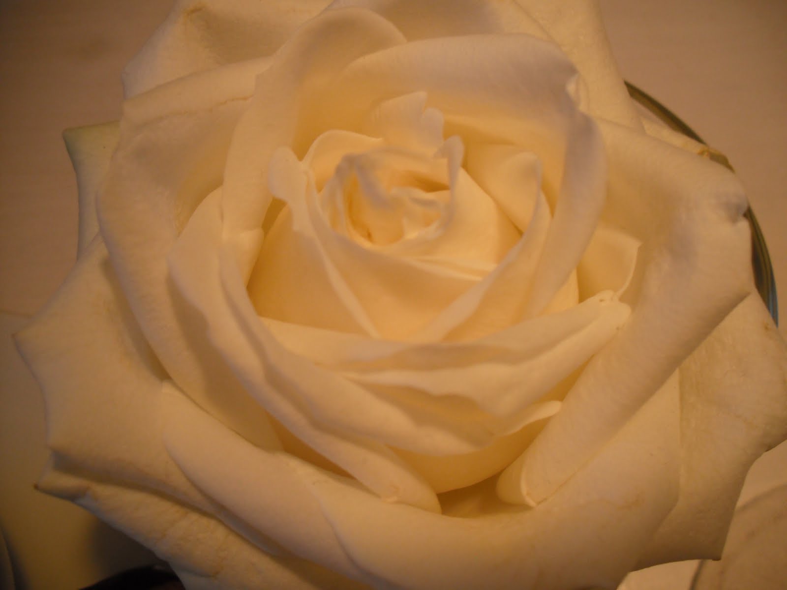 [DSCF0366.JPG]