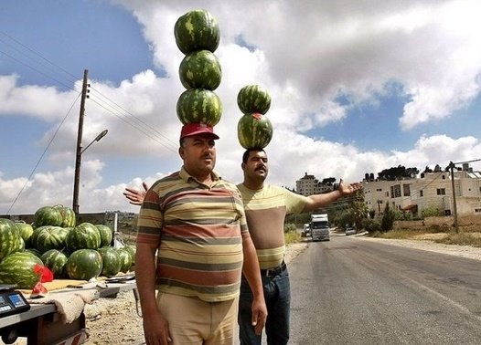 [mex+tex.jpg]