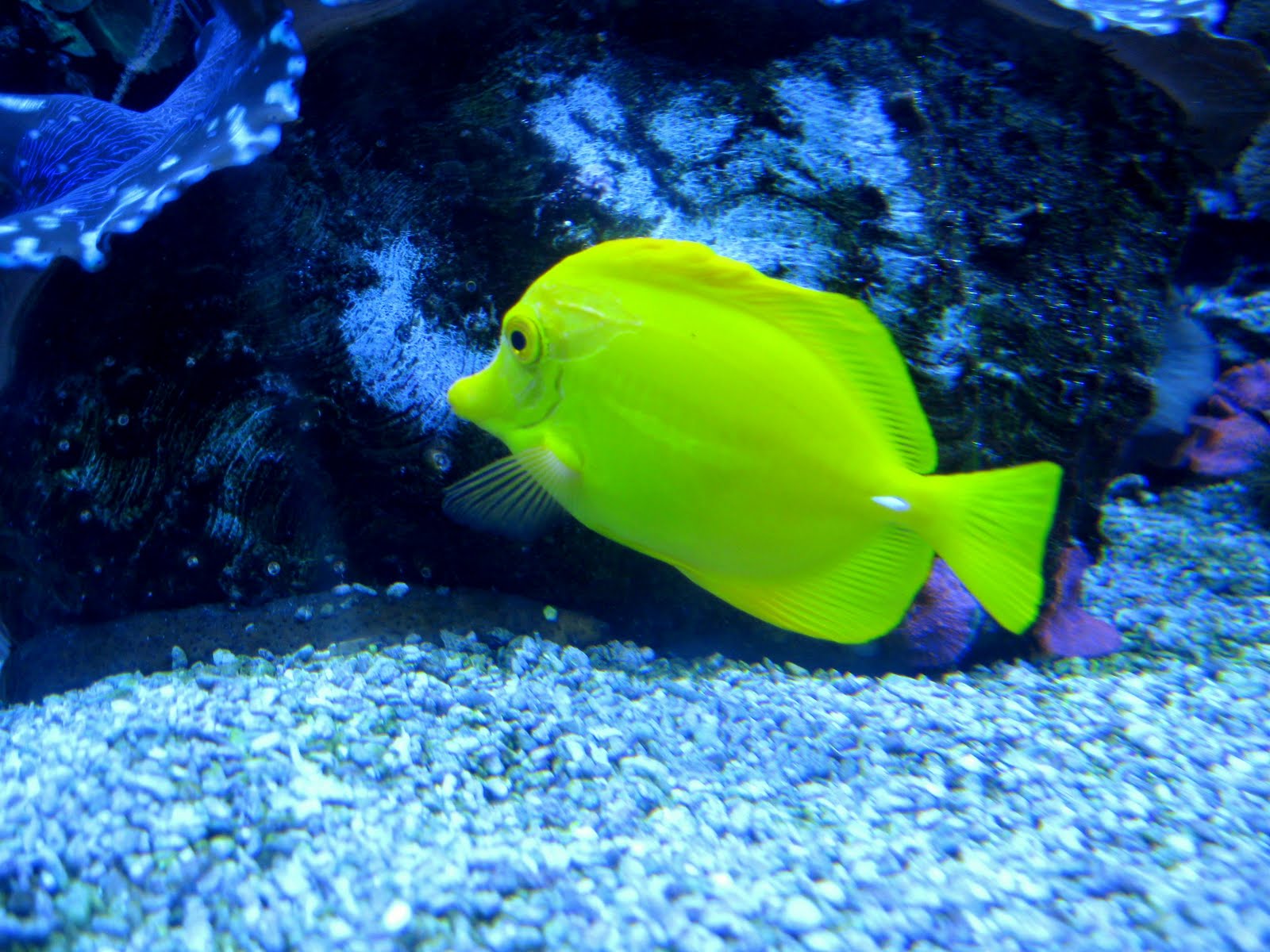 [IMG_0629-X.JPG]