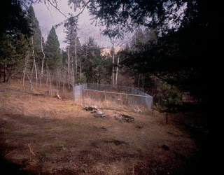 Skovsnog Unabomber S Cabin In The Woods Of Montana