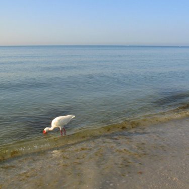 [090324_3.jpg]