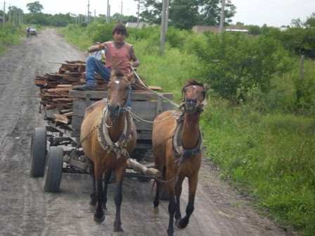 [Tobas%20-%20Carro.jpg]