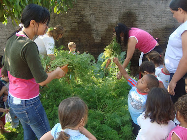 Horta na Escola