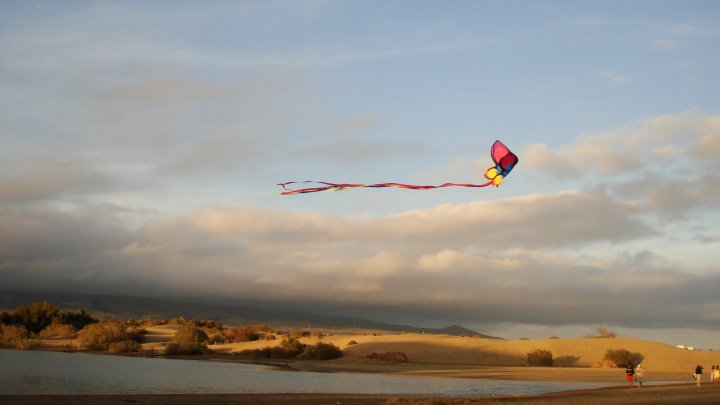 [26122_347908109286_583639286_3333594_8033644_n.jpg]