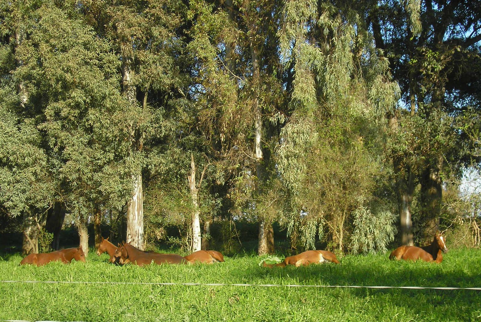 [P4240041.JPG]