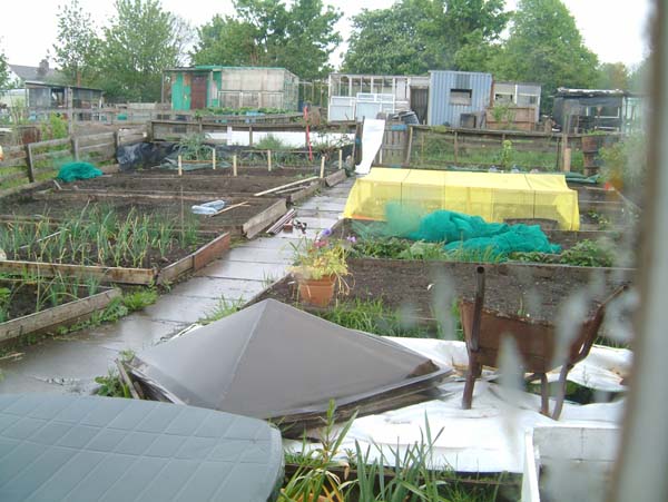 [View+from+Plot45.jpg]