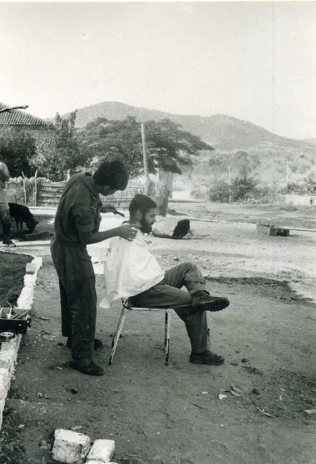 [Cobue313.jpg]